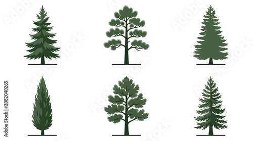 Collection of evergreen trees