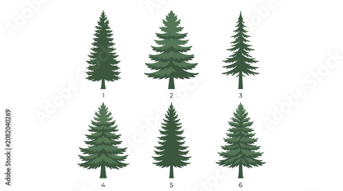 Collection of evergreen trees