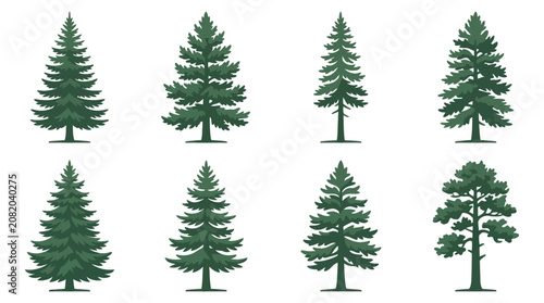 Collection of evergreen trees