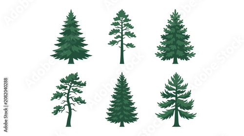 Collection of evergreen trees