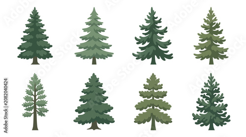 Collection of evergreen trees