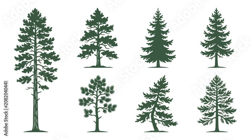 Collection of evergreen trees