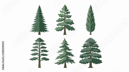 Collection of evergreen trees