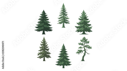 Collection of evergreen trees