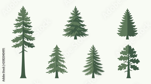 Collection of evergreen trees
