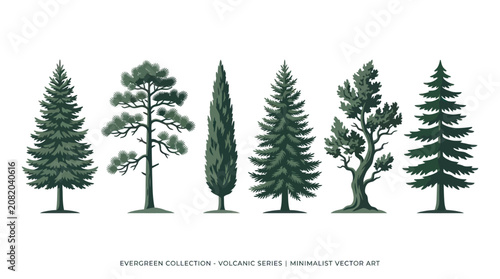 Collection of evergreen trees