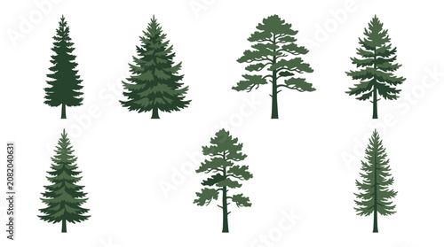 Collection of evergreen trees