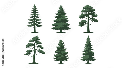 Collection of evergreen trees