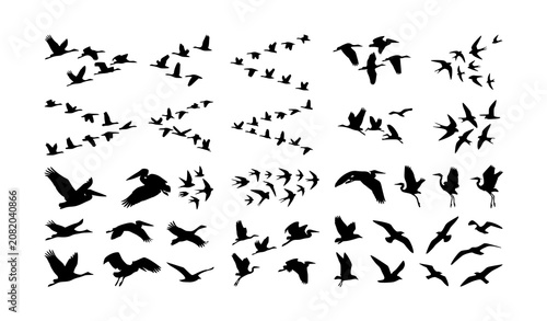 Fotografía Migratory Bird Flock Silhouette Bundle with Minimal Flying Wildlife Vector Colle