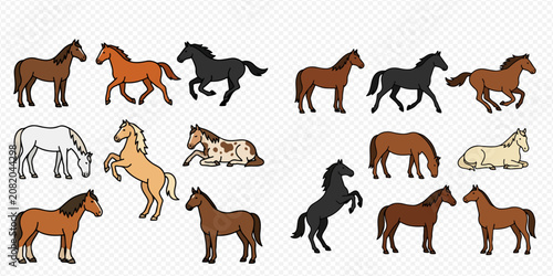 Foto Collection of various horse breeds in different poses, showcasing their unique colors and movements