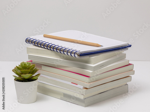 Stacked Books with Spiral Notebook Pencil and Succulent Plant on Desk
