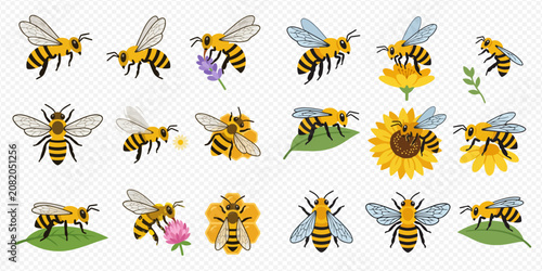 Foto Set of cute cartoon bees in various poses, flying, sitting on flowers and leaves, and a honeycomb emblem, isolated on transparent background