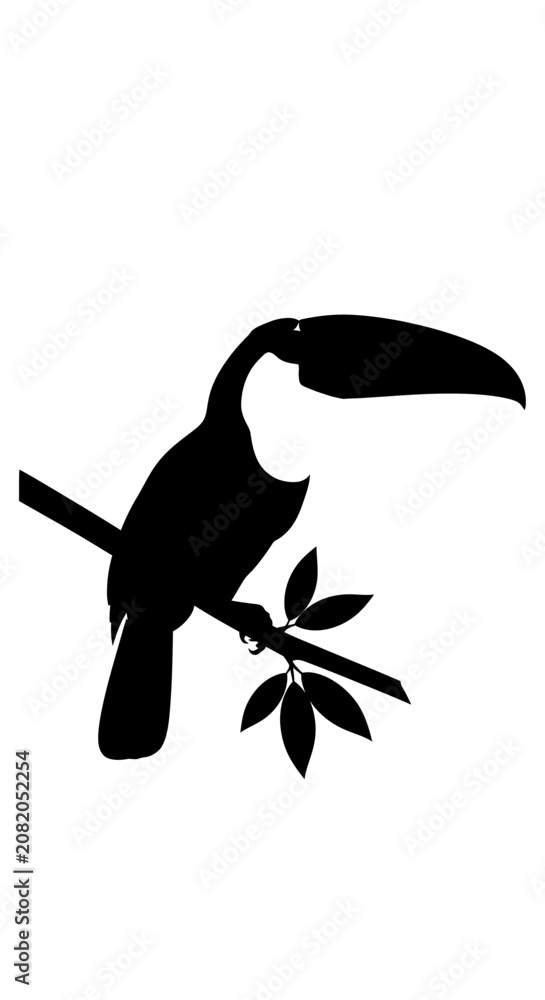 Fototapeta premium Minimalist toucan bird silhouette vector, tropical exotic bird perched on a branch, black and white wildlife illustration for logo design