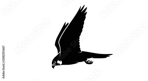Peregrine falcon silhouette vector, flying bird of prey in black profile, majestic raptor hunting in flight, minimalist wildlife graphic for logo design