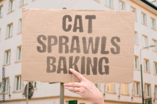 Schilderij op canvas "Cat sprawls baking" Feline stretches out to cool
