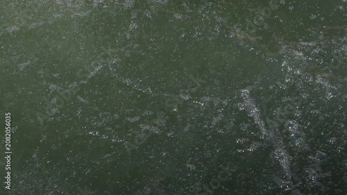 Bubbling green water surface moving slowly