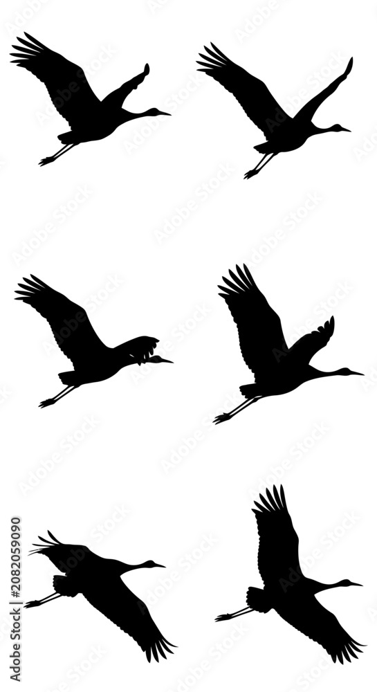 Fototapeta premium Flying crane bird silhouettes, set of 6 black heron vector icons. Migrating stork shapes in flight, elegant avian wildlife graphics for nature design.