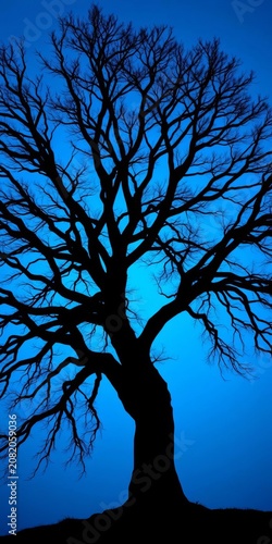 Organic tree silhouette against a serene blue background with intricate branches, stem, branch