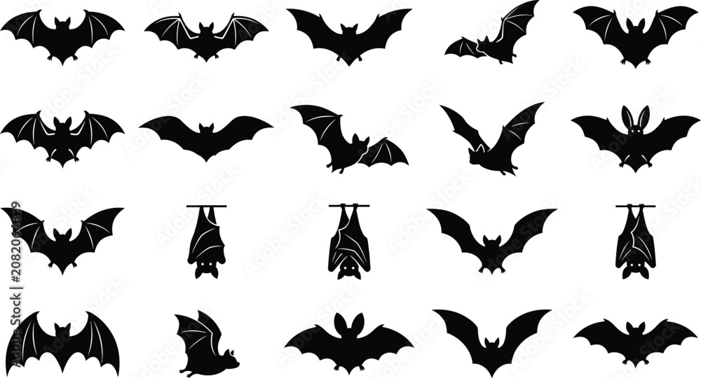 Fototapeta premium Bat set, collection of hand-drawn flying and hanging mammals.