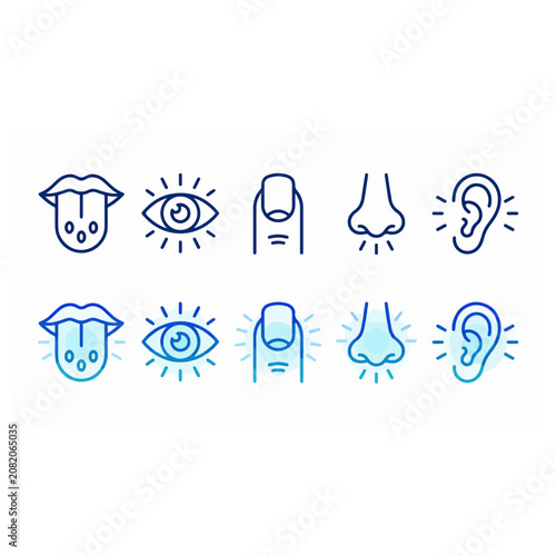 Collection of human sensory organs icons and symbols vector with perception, illustration vector
