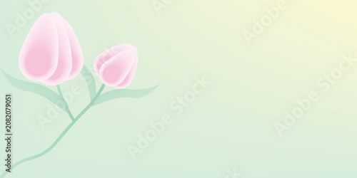 Minimalist pink tulip vector background with copy space.