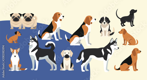 Diverse collection of different dog breeds shown in a flat vector illustration style including husky beagle pug and dachshund.