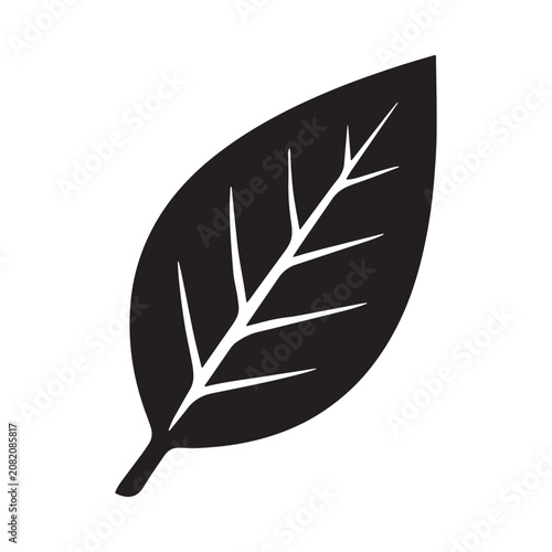 Leaf Shape Silhouette On White Background Minimalist Botanical Design