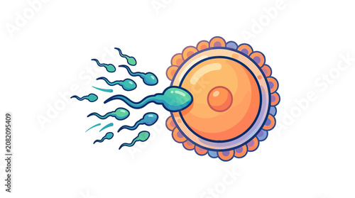 Photos Fertilization: Sperm Cells Approaching Egg Cell for Conception