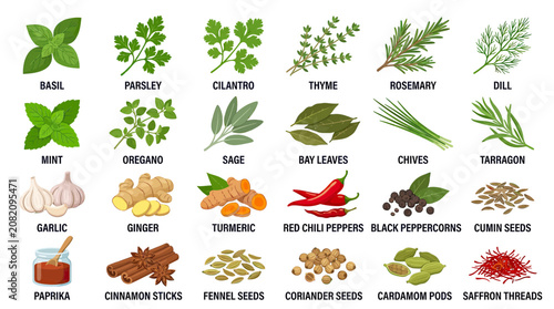 Fotografía Herbs and Spices Collection: Basil, Mint, Parsley, Cilantro, Ginger, Garlic, Chi