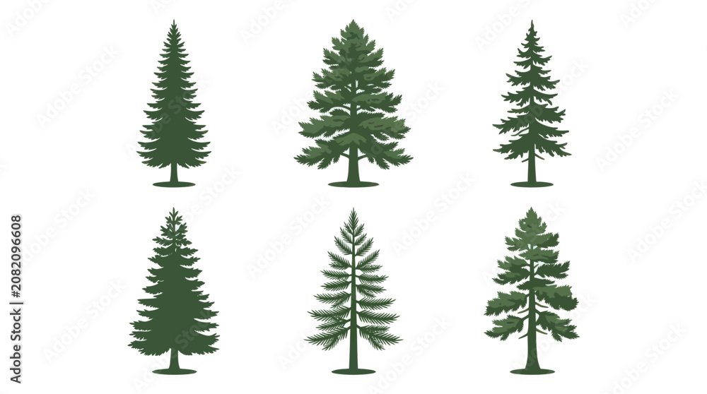 Obraz premium Collection of evergreen tree illustrations