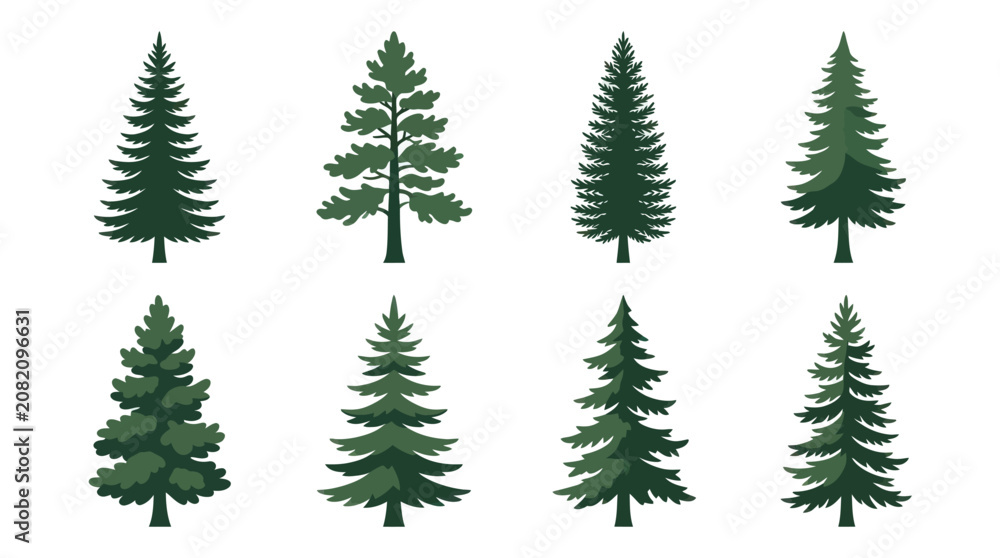 Obraz premium Collection of evergreen tree illustrations