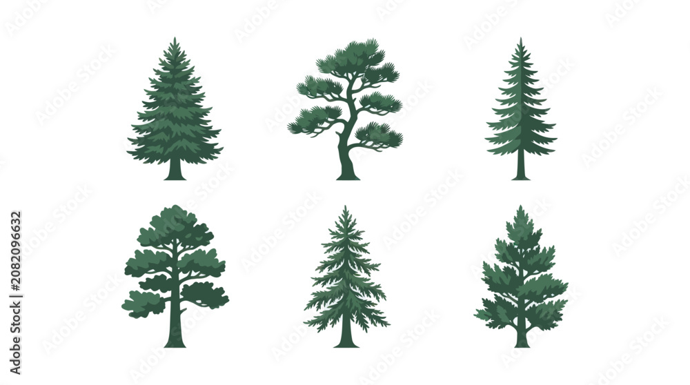 Fototapeta premium Collection of evergreen tree illustrations
