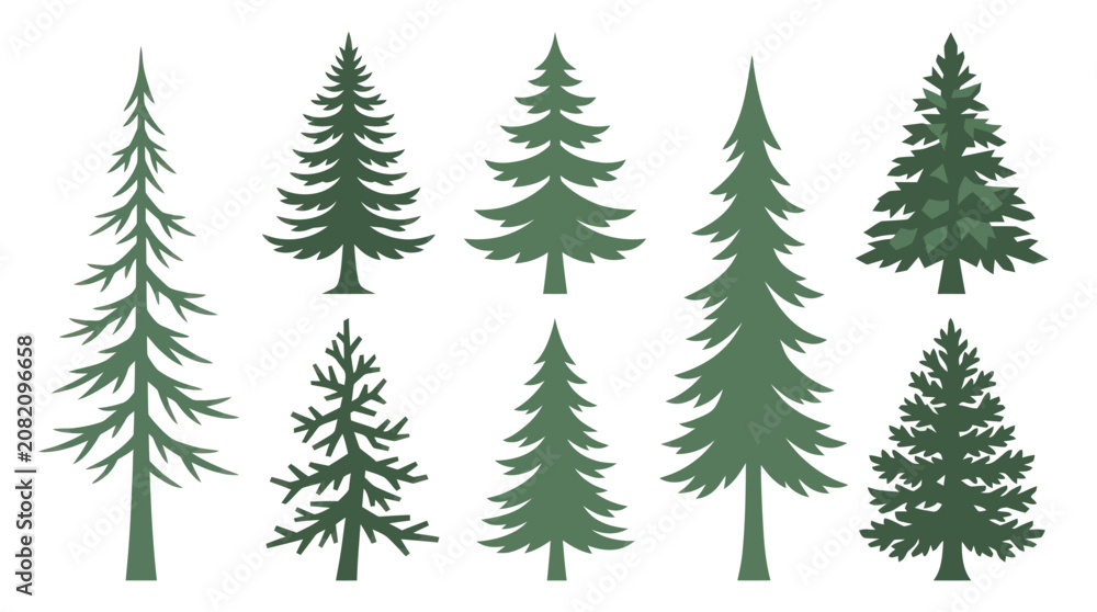Obraz premium Collection of evergreen tree illustrations
