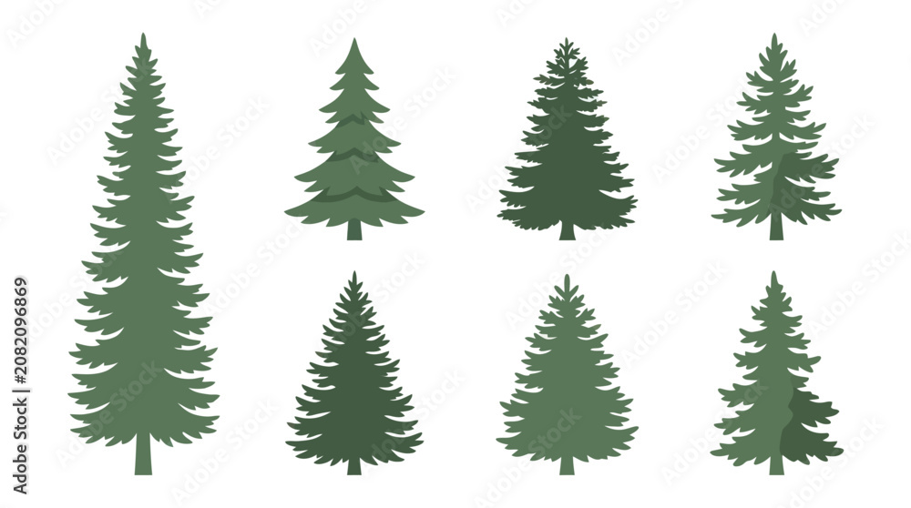 Obraz premium Collection of evergreen tree silhouettes
