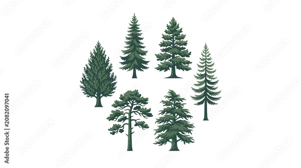 Obraz premium Collection of evergreen trees illustration