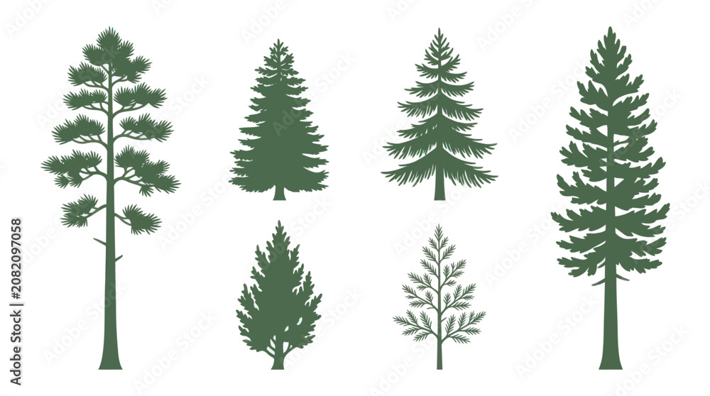 Obraz premium Collection of evergreen trees silhouettes