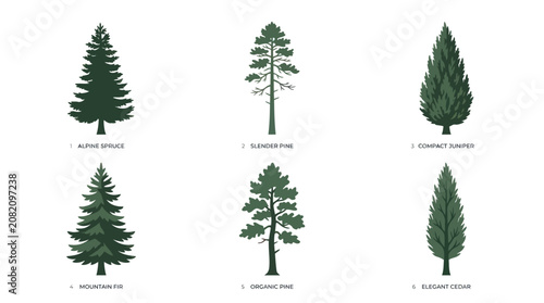 Collection of stylized evergreen trees