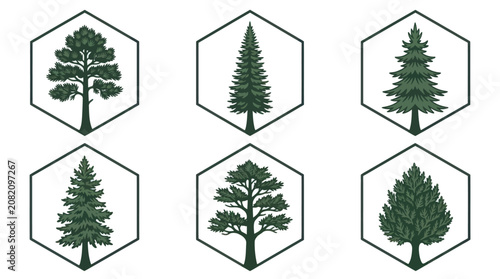 Collection of stylized evergreen trees in geometric shapes