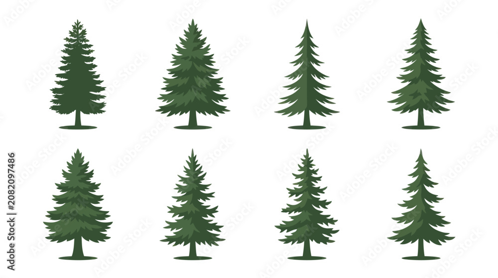 Obraz premium Group of evergreen trees isolated
