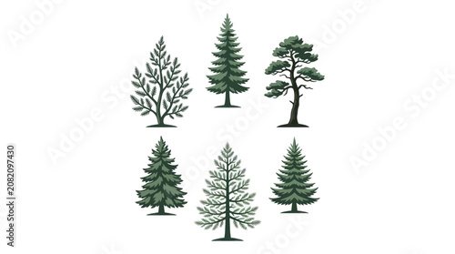 Diverse evergreen tree illustrations