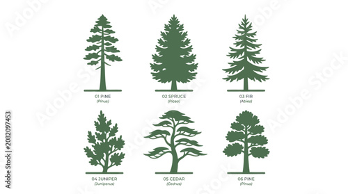 Diverse evergreen tree silhouettes collection