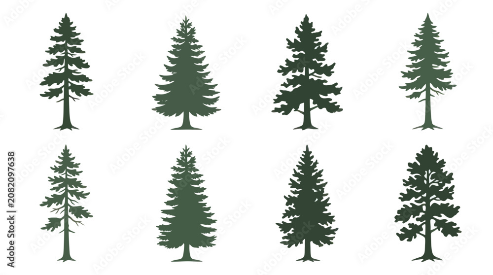 Obraz premium Evergreen tree silhouettes collection