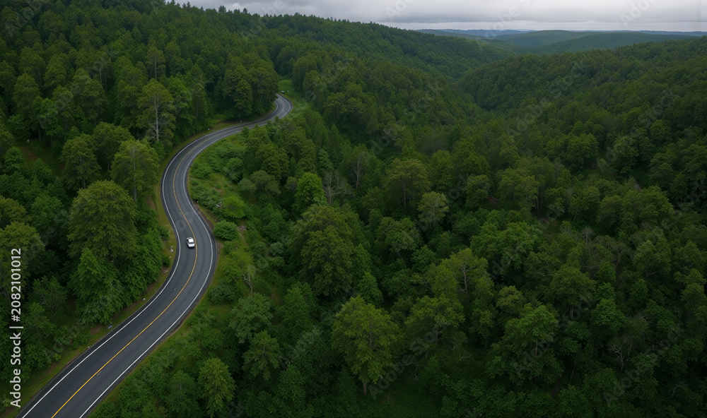 Naklejka premium Misty aerial view of a winding road through lush green forest hills under a cloudy sky with a single white car driving