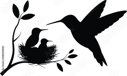 Tableau sur toile Silhouette of Hummingbird Feeding Chicks in a Nest on a Branch with Leaves baby