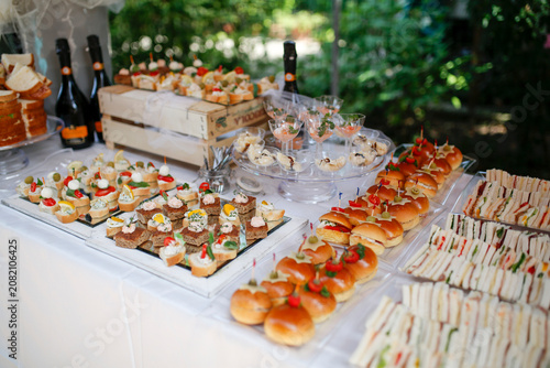A vibrant outdoor buffet featuring colorful appetizers, mini sandwiches, and sparkling wine bottles, surrounded by lush greenery and natural light.
