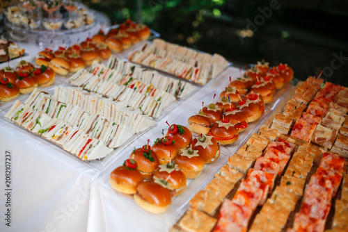 A vibrant table with diverse appetizers, including sandwiches, mini burgers, and pizza squares, served on trays with a background of lush greenery.