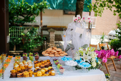 Outdoor dessert table featuring pastries, candies, fresh fruits, and vibrant flower arrangements. A celebration in a relaxing garden setting.
