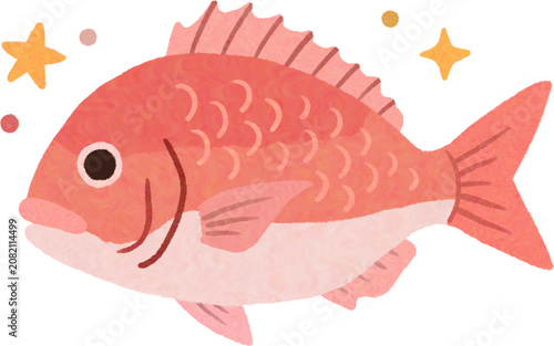 Cute red sea bream fish illustration with hand drawn textured style surrounded by stars, Japanese tai fish icon.