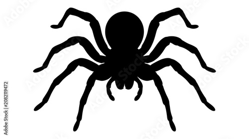 Schilderij op canvas Helloween Black spider silhouette, creepy crawly icon, Halloween symbol, vector