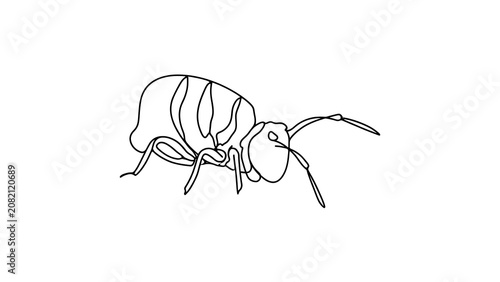 Line art beetle illustration on white background.